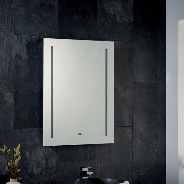 Ivy Bronx Easthampton Fog Free Bathroom Mirror with Shaver Socket